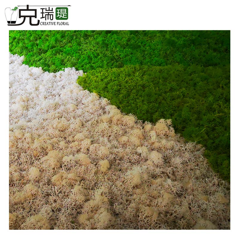 克瑞瑅原生态植物草墙客厅装饰仿真花软装饰品摆件 G90003