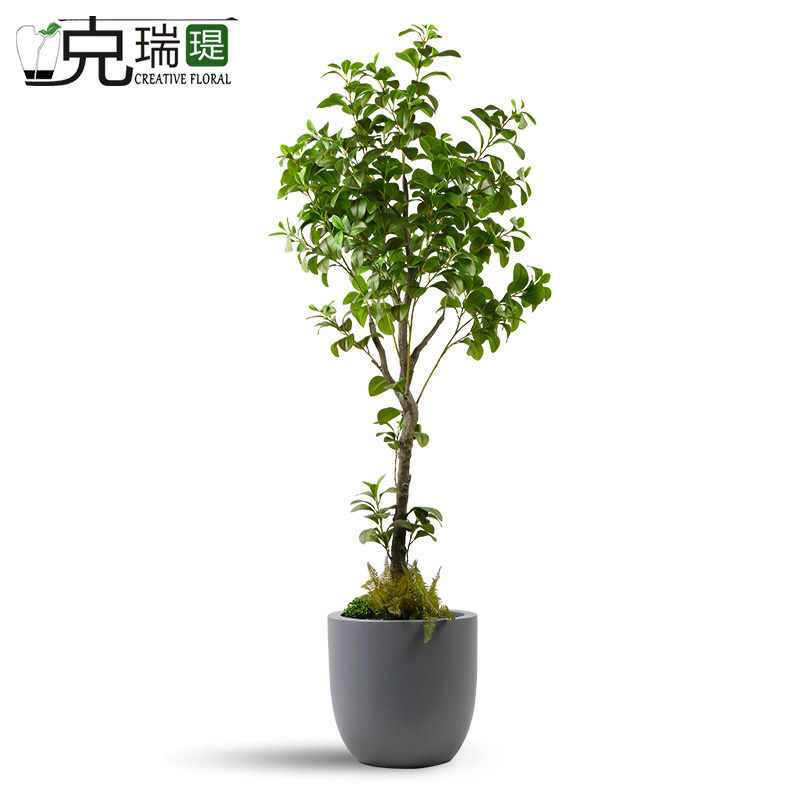 克瑞瑅原生态仿真绿植客厅装饰仿真花软装饰品摆件 G110027