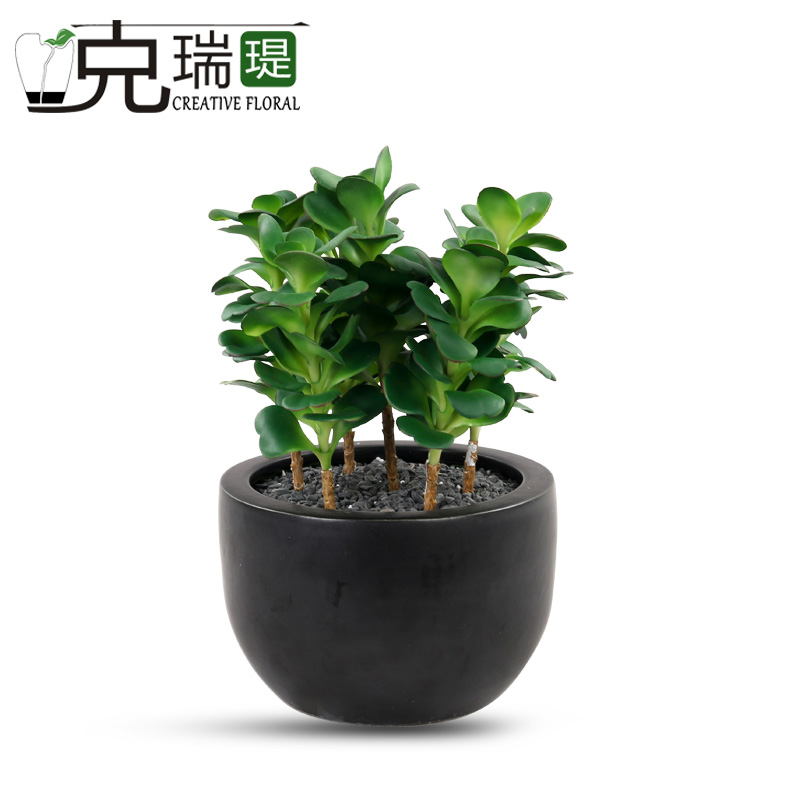 克瑞瑅原生态多肉单枝客厅装饰仿真花软装饰品摆件  G5A001